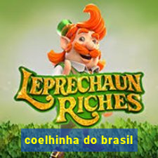 coelhinha do brasil