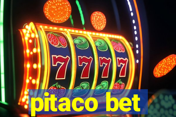 pitaco bet