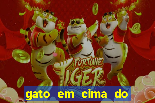 gato em cima do telhado significado espiritual