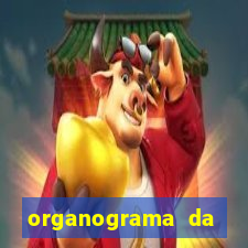 organograma da cacau show