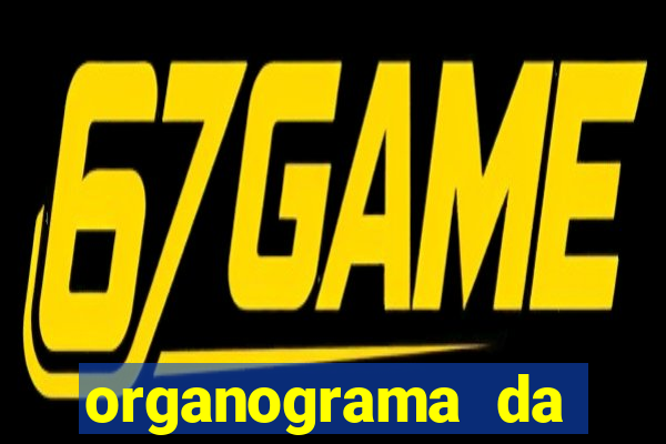 organograma da cacau show