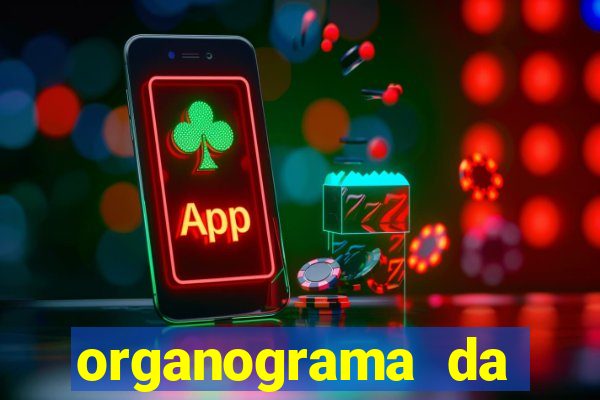 organograma da cacau show