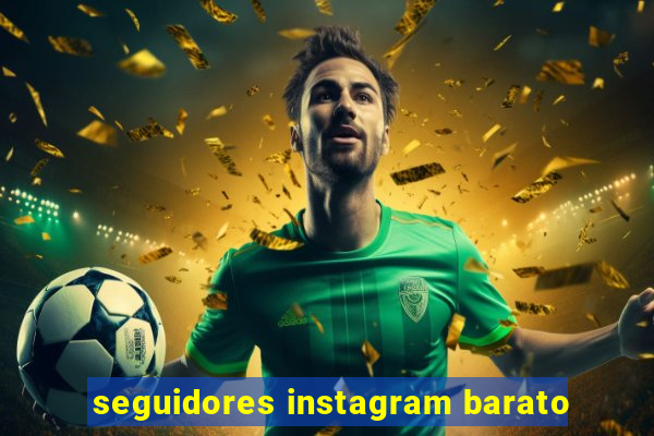 seguidores instagram barato