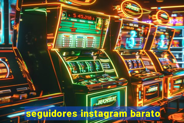 seguidores instagram barato