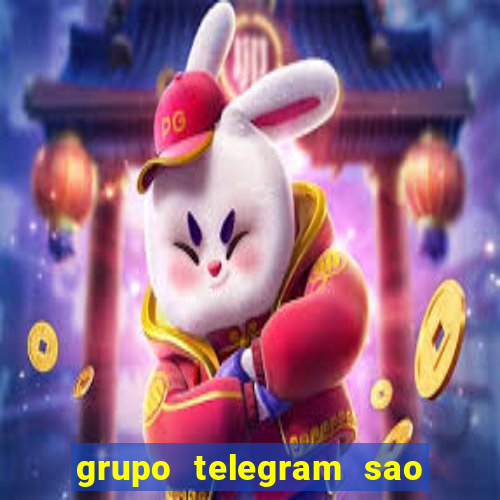 grupo telegram sao jose do rio preto