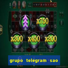 grupo telegram sao jose do rio preto