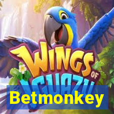 Betmonkey