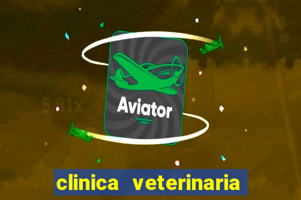 clinica veterinaria cuidar betim