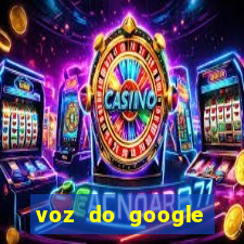 voz do google tradutor homem