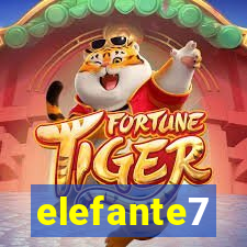 elefante7