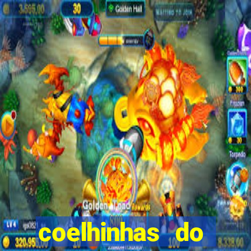 coelhinhas do brasil acompanhantes