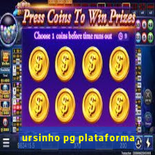 ursinho pg plataforma