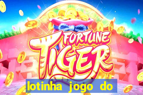 lotinha jogo do bicho como funciona