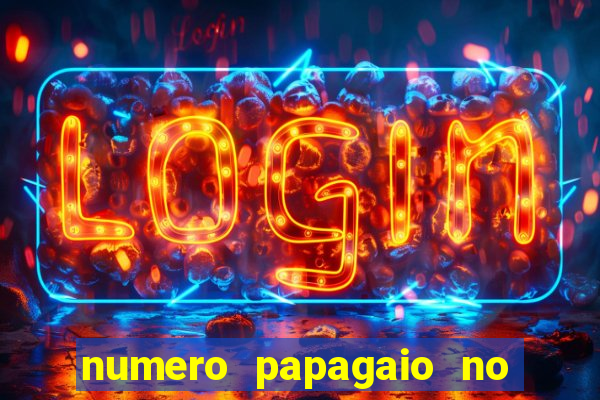 numero papagaio no jogo do bicho