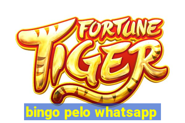 bingo pelo whatsapp