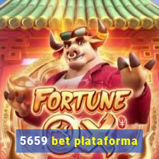 5659 bet plataforma