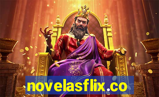 novelasflix.co