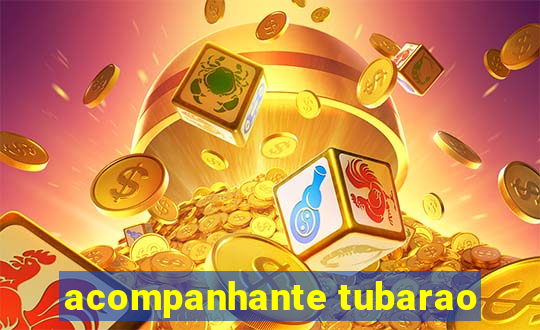 acompanhante tubarao