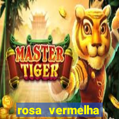 rosa vermelha (letra e cifra)