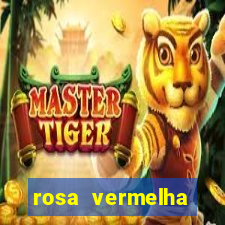 rosa vermelha (letra e cifra)