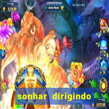 sonhar dirigindo carro jogo do bicho