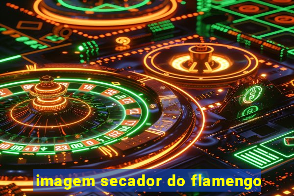 imagem secador do flamengo