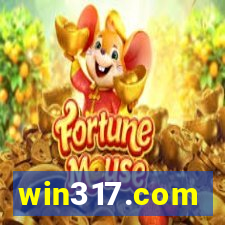 win317.com