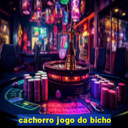 cachorro jogo do bicho