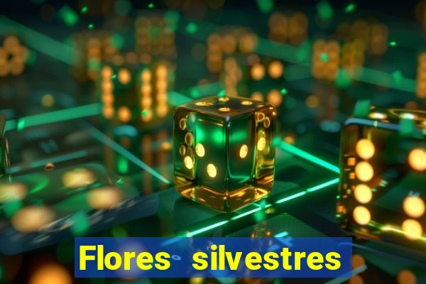 Flores silvestres brasileiras 25