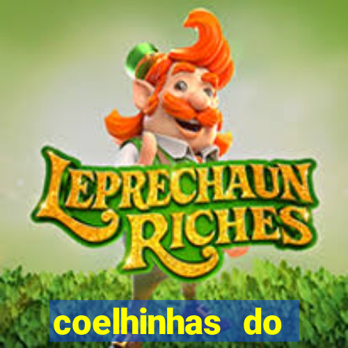 coelhinhas do brasil site