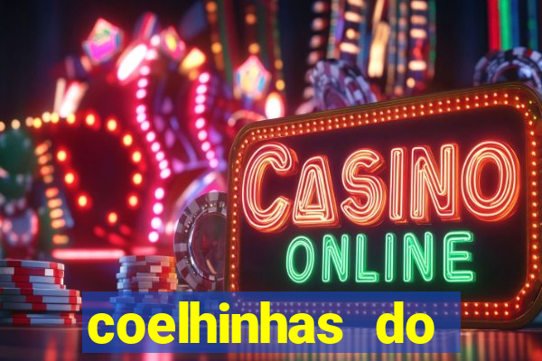 coelhinhas do brasil site