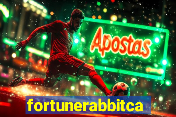 fortunerabbitcasino.online