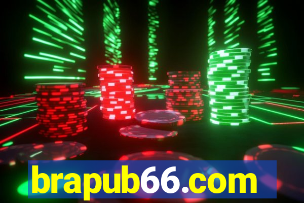 brapub66.com