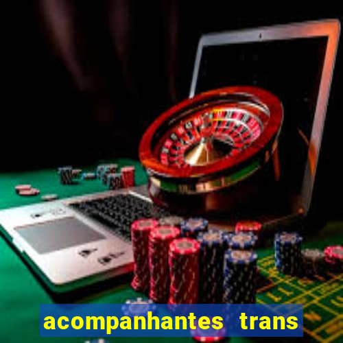 acompanhantes trans porto seguro