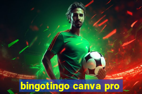 bingotingo canva pro