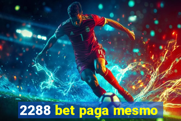 2288 bet paga mesmo