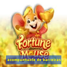 acompanhante de barreiras