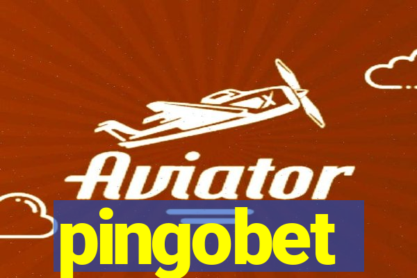 pingobet