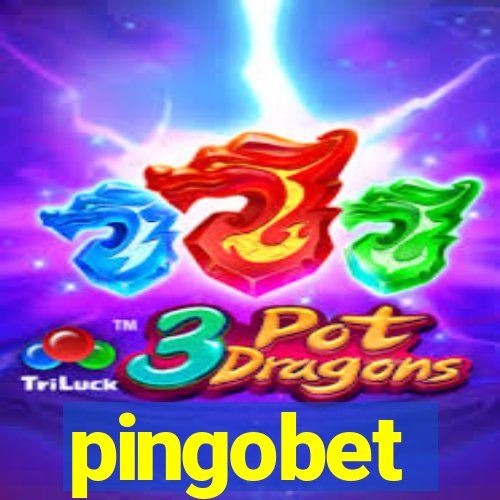 pingobet