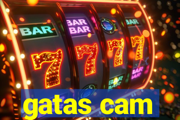 gatas cam