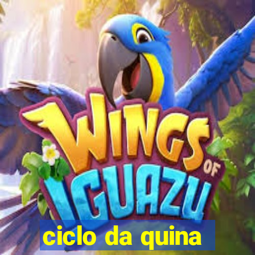 ciclo da quina