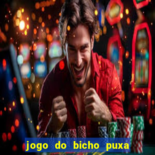 jogo do bicho puxa de dona maria