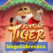 bingosobreoeca