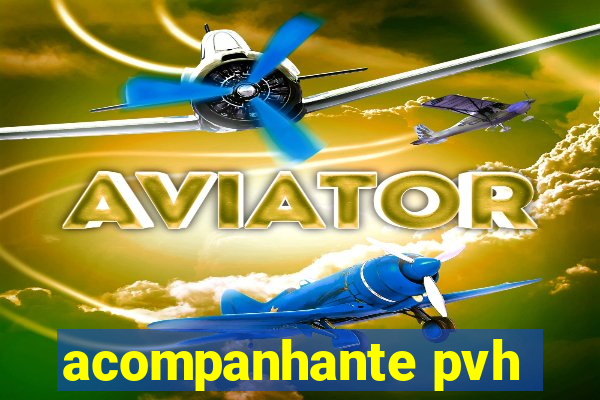 acompanhante pvh