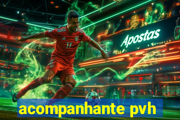 acompanhante pvh