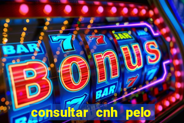 consultar cnh pelo cpf sp