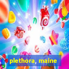 plethora, maine