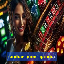 sonhar com gambá jogo do bicho