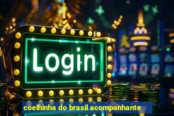 coelhinha do brasil acompanhante