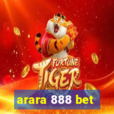 arara 888 bet